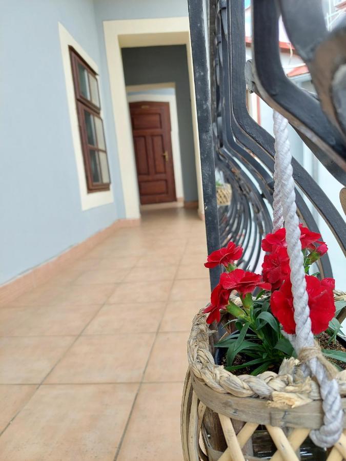 Hotel Salamander - Garni Banská Štiavnica 外观 照片